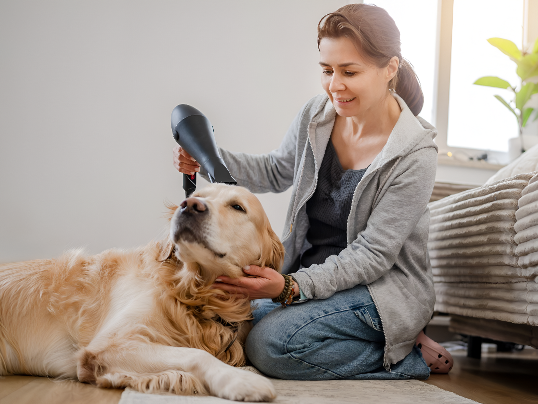 Essential Grooming Tips for Pets